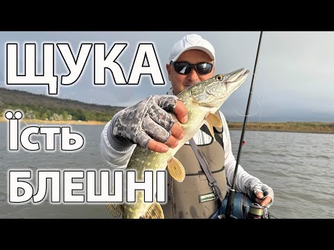 Видео: Ловля ЩУКИ на Блешні !!! РИБАЛКА на Новий спінінг Azura '24 Kinetik 9'2"ML