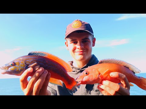 Видео: Охота на виды с моим мальчиком 🎣 #GGguiding