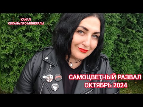 Видео: Ярмарка самоцветный развал, октябрь 2024.