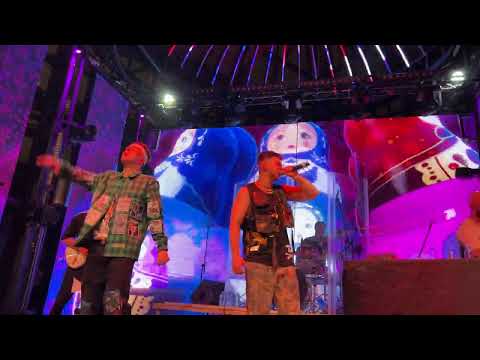 Видео: GAYAZOV$ BROTHER$ По Синей Грусти 15.04.2022 Gipsy