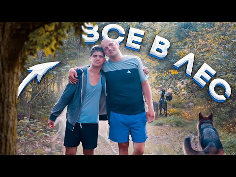 Видео: Куда делся индюк мы поняли только после потери второго . Прогулка с домашними  животных по лесу