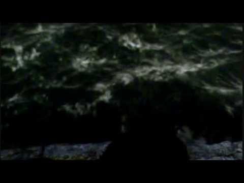 Видео: сто шагов назад.....новолуние