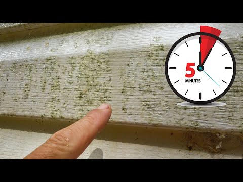 Видео: Очистка сайдинга дома от плесени и водорослей за пять минут