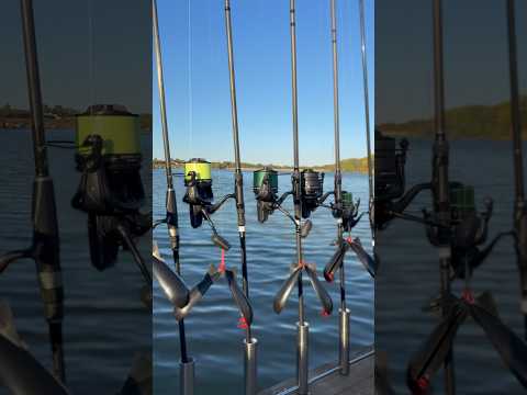 Видео: Рыбалка осенью на лесном озере! #carpfishing #рыбалканафидер #рыбалка #fishing