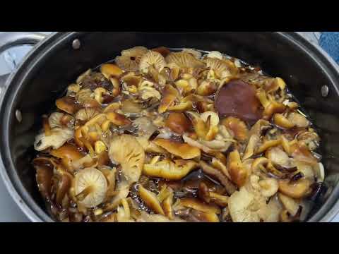 Видео: Очень вкусно! Маринад для грибов. Светлана готовит зимние дары леса. Раньше соль была не такая.