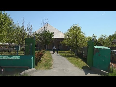 Видео: Zaqatala (Нухlбикь) Yolayrıc (Мавлид) Mövlüd 2018 (1)