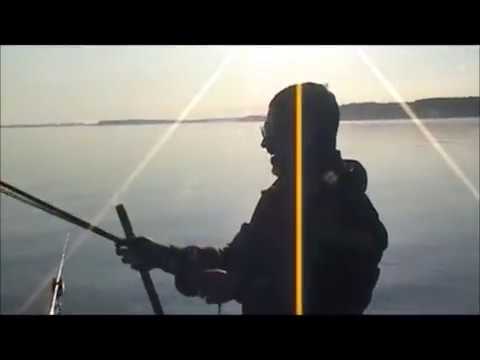 Видео: Рыбалка в Ульяновске на Волжском заливе Лесная Быль 19.07.2019