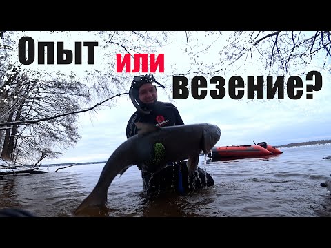 Видео: ХОТЕЛ УЖЕ СВАЛИТЬ!!! ПОДВОДНАЯ ОХОТА 2023!!!
