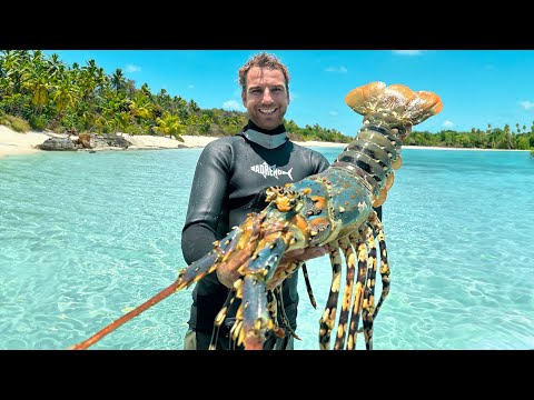 Видео: БОЛЬШЕ, ЧЕМ ПРОСТО ПОЙМАТЬ И ПРИГОТОВИТЬ (дельфины-стоунер, тигровые акулы и ночное погружение!)