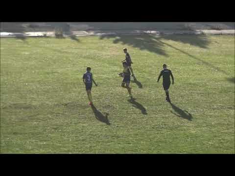 Видео: Запис: Фортуна-Възраждане (2010)