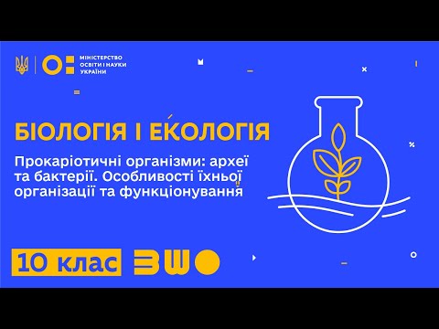 Видео: 10 клас. Біологія і екологія. Прокаріотичні організми: археї, бактерії. Особливості організації