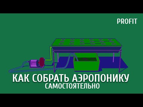 Видео: АЭРОПОНИКА / КАК СОБРАТЬ САМОМУ