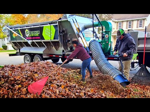 Видео: ДЕНЬГИ НЕ РАСТУТ НА ДЕРЕВЬЯХ | НУ И ОНИ СОЛГАЛИ!
