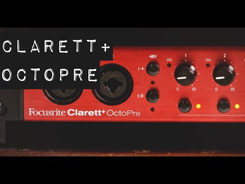 Видео: Действительно хорошие конвертеры для ADAT! — Focusrite Clarett+ OctoPre