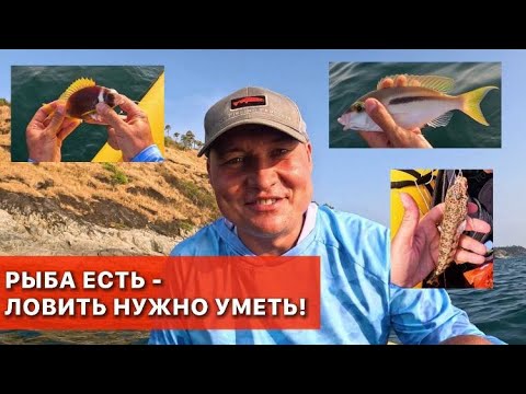 Видео: Чуть не разбился о скалы... Ловля на пакрафте в отвес. Морская рыбалка на Пхукете. Ловля на креветку