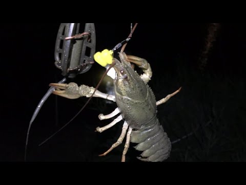 Видео: Флэт Метод Фидер пеллетс и прикормка, Битва !!! Traper VS Carp Pro. Flat Method Прикормка.