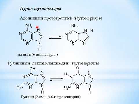 Видео: Алты мүшелі гетероциклді қосылыстар