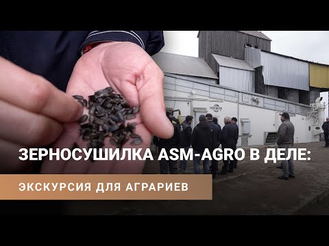 Видео: Сушка подсолнечника на конвейерной зерносушилке: демонстрация работы ASM-AGRO-42