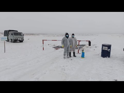 Видео: Очаг ящура ликвидируют в Карагандинской области