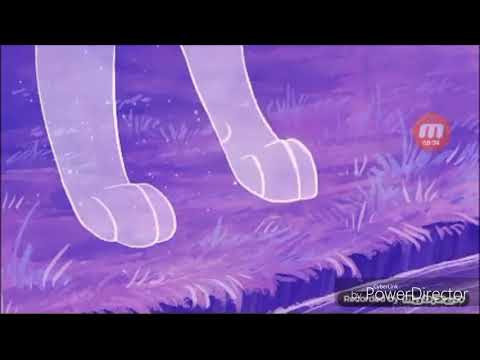 Видео: [Коты воители] ,,Песня луны"