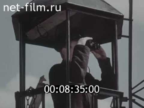 Видео: Лесные пожары - Фильм ЦНФ (1964)