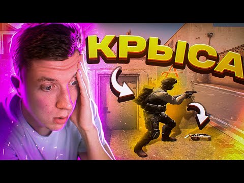 Видео: КРЫСИНЫЙ ПОСТУПОК В CS:GO