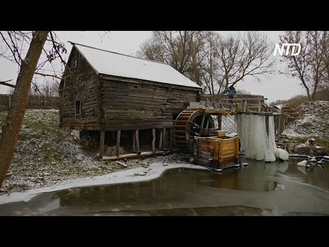 Видео: В Курской области снова перемалывает зерно 300-летняя водяная мельница