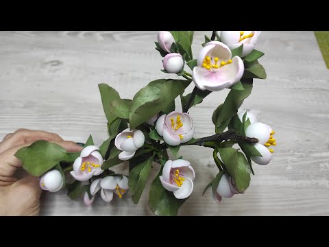 Видео: Цветы яблони из фоамирана #яблоневыйцвет DIY apple flowers from foamiran