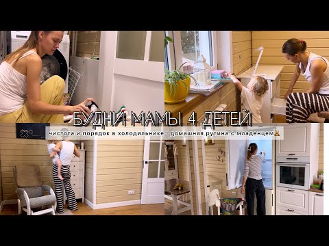 Видео: БУДНИ МАМЫ 4 ДЕТЕЙ🩵ЧИСТОТА И ПОРЯДОК В ХОЛОДИЛЬНИКЕ❄️ДОМАШНЯЯ РУТИНА С МЛАДЕНЦЕМ🧸