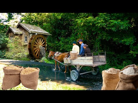 Видео: Мельница - древняя технология помола в Азербайджане