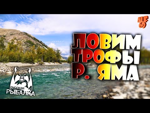 Видео: ЛОВИМ ТРОФЫ НА РЕКЕ ЯМА! #SHORTS СТРИМ РУССКАЯ РЫБАЛКА 4 (RUSSIAN FISHING 4)