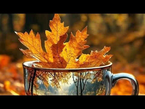 Видео: Пол года плохая погода,пол года совсем никуда...