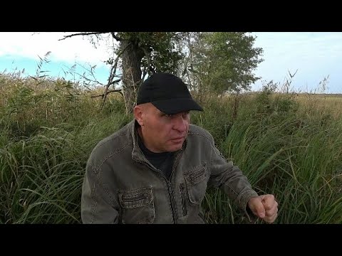 Видео: Аж напрягся от такой находки. Но было круто.