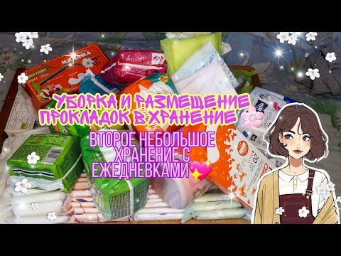 Видео: //Уборка в хранении прокладок и размещение новинок🥰второе небольшое хранение ежедневок😘//