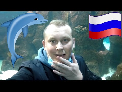 Видео: #5.Подводный мир, или Океанариум в Адлере (Сочи) 🐬 Пляж "Фрегат" 🌊 Столовая "Солнышко" 🍵