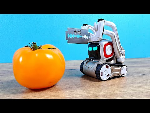 Видео: Сможет ли Cozmo нарезать салат из помидоров? 🍅🔪