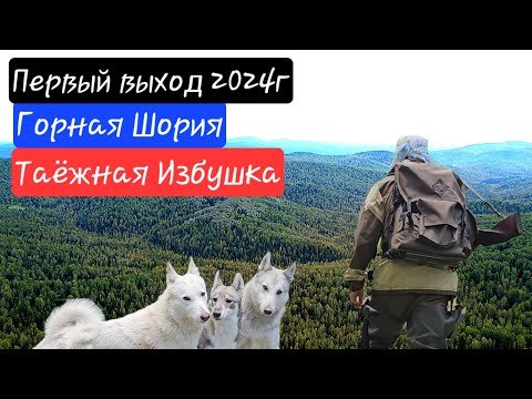 Видео: Горная Шория / Таёжная изба / Первый выход 2024г