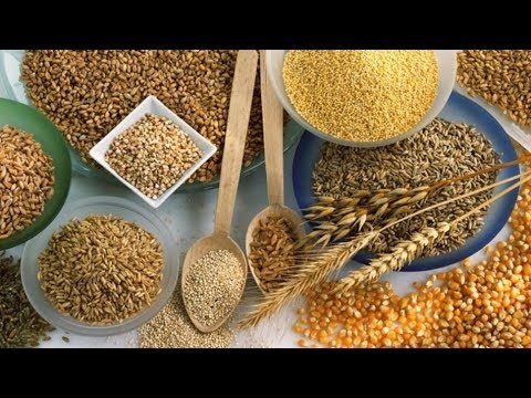 Видео: Почему рыба клюет на зерновые.