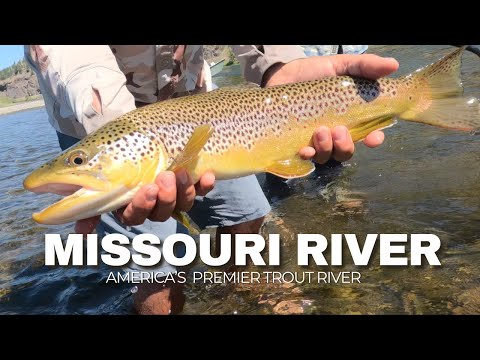 Видео: Река Миссури — рай для ловли рыбы нахлыстом.