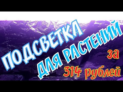 Видео: ОСВЕЩЕНИЕ ДЛЯ РАССАДЫ И КОМНАТНЫХ РАСТЕНИЙ | ЛАЙФХАК!