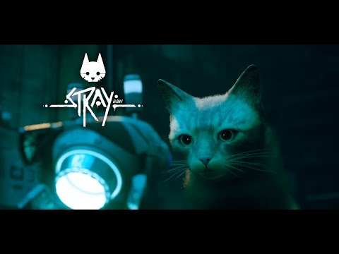 Видео: ПРИКЛЮЧЕНИЯ НАЧИНАЮТСЯ ᐅ STRAY #1