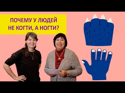 Видео: Когти или ногти: что лучше? Елена Сударикова и Наталья Носова