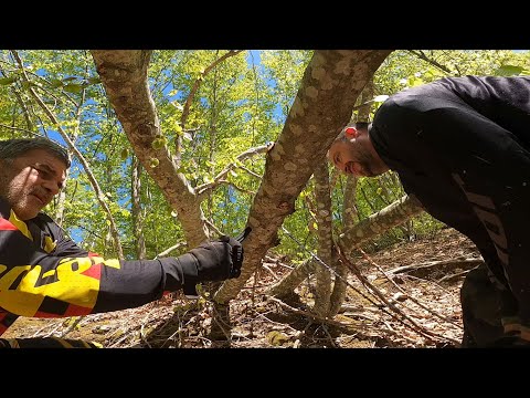 Видео: Приключение в Гърция - (ден 2, 4/5,  2022.04.26 - Пичове, наядохме го!)