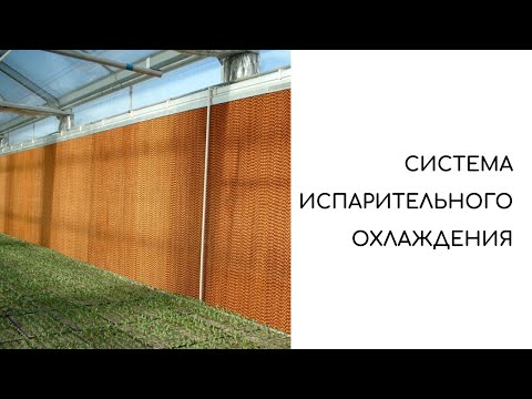 Видео: Система испарительного охлаждения / Pad cooling system
