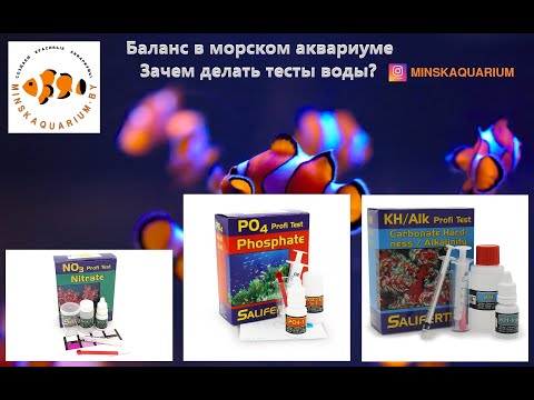Видео: Тесты в морском аквариуме. Зачем они нужны? Баланс и как его достичь.