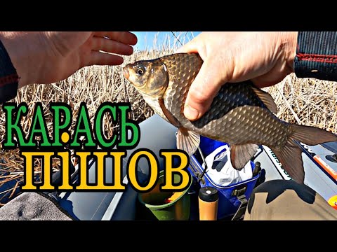 Видео: Карась збився у ГНІЗДІ. Риболовля з човна у Процеві