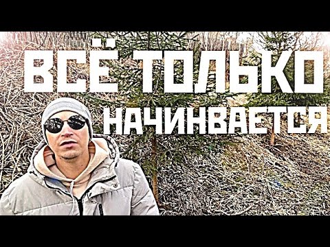 Видео: БЫВШЕЙ СЕЙЧАС ПРЕКРАСНО, НО ЧЕРЕЗ ВРЕМЯ ЕЙ БУДЕТ ОЧЕНЬ ПЛОХО, А ВАМ ХОРОШО.