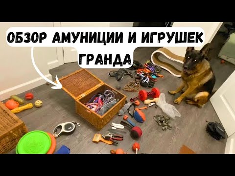 Видео: ОБЗОР НА АМУНИЦИЮ И ИГРУШКИ ГРАНДА - приехала Рыжуля в гости