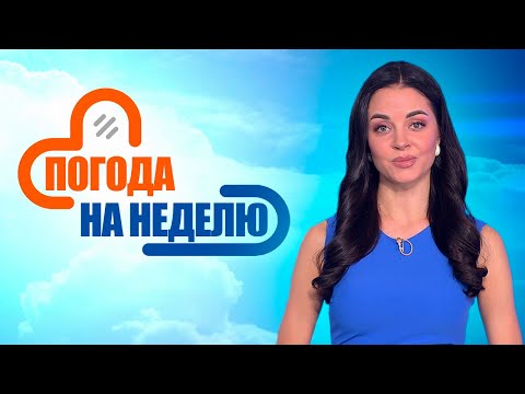 Видео: Ожидаются первые заморозки! | Погода в Беларуси с 22 по 28 сентября | Плюс-минус