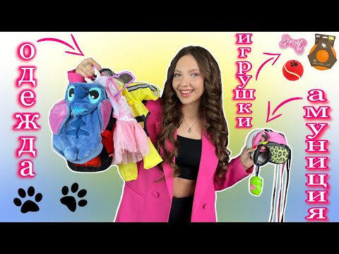 Видео: Одежда, амуниция и игрушки моих собак 🐶🐾 #шпицы #моисобаки